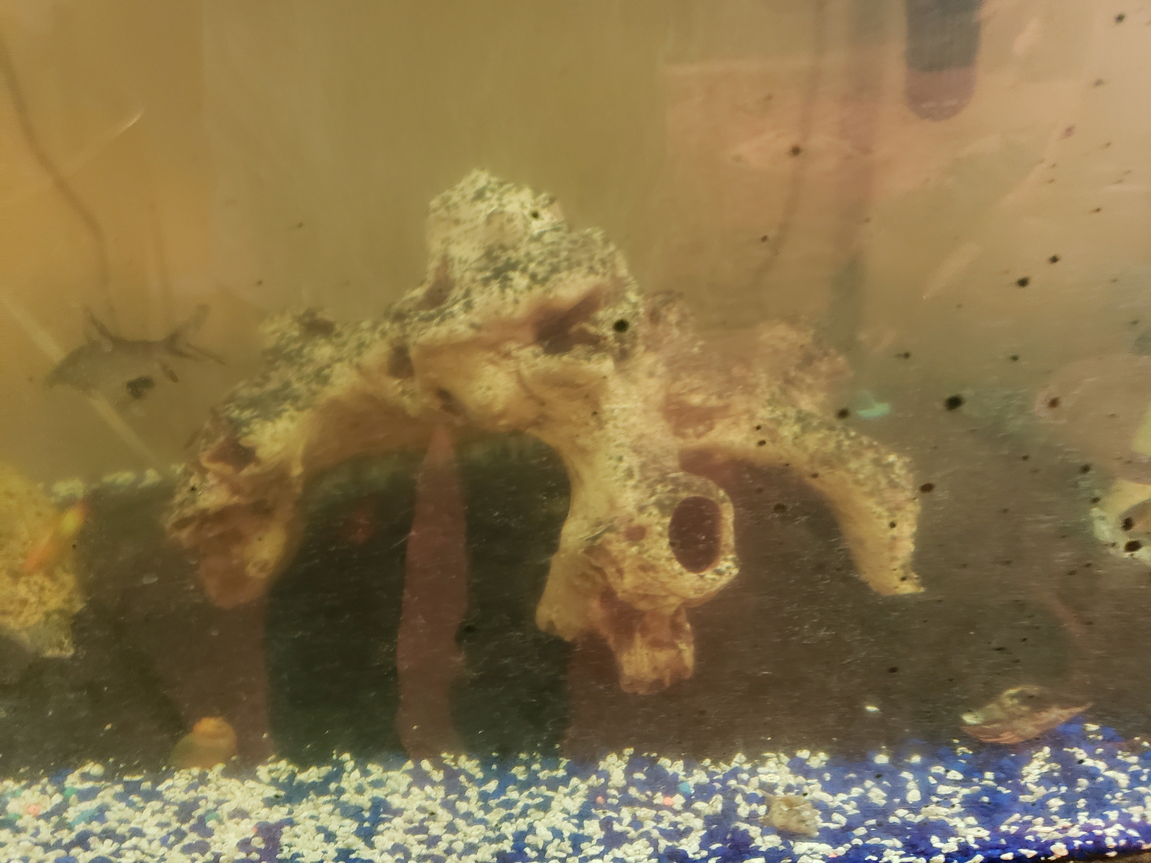 Grimy Decor Closeup