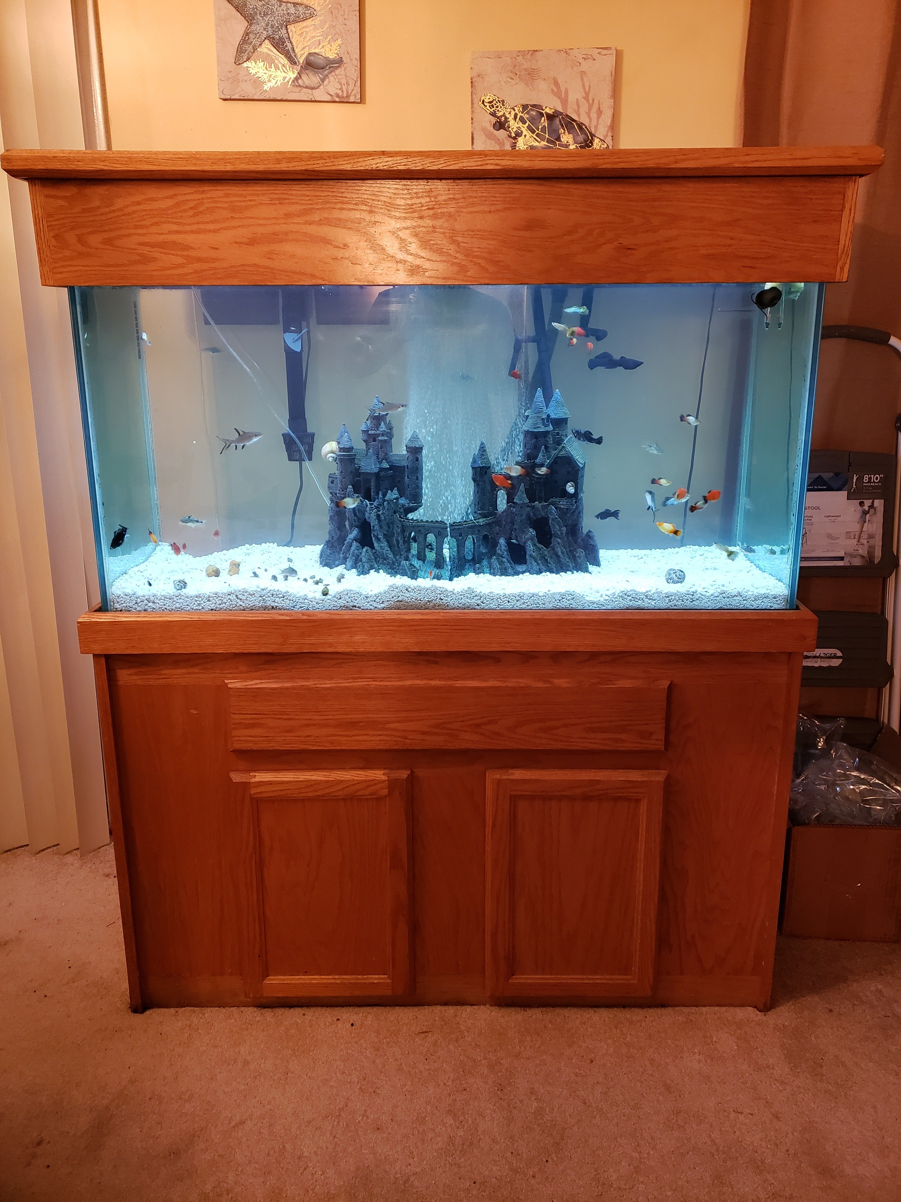 Sparkling Tank