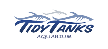 Tidy Tanks Aquarium