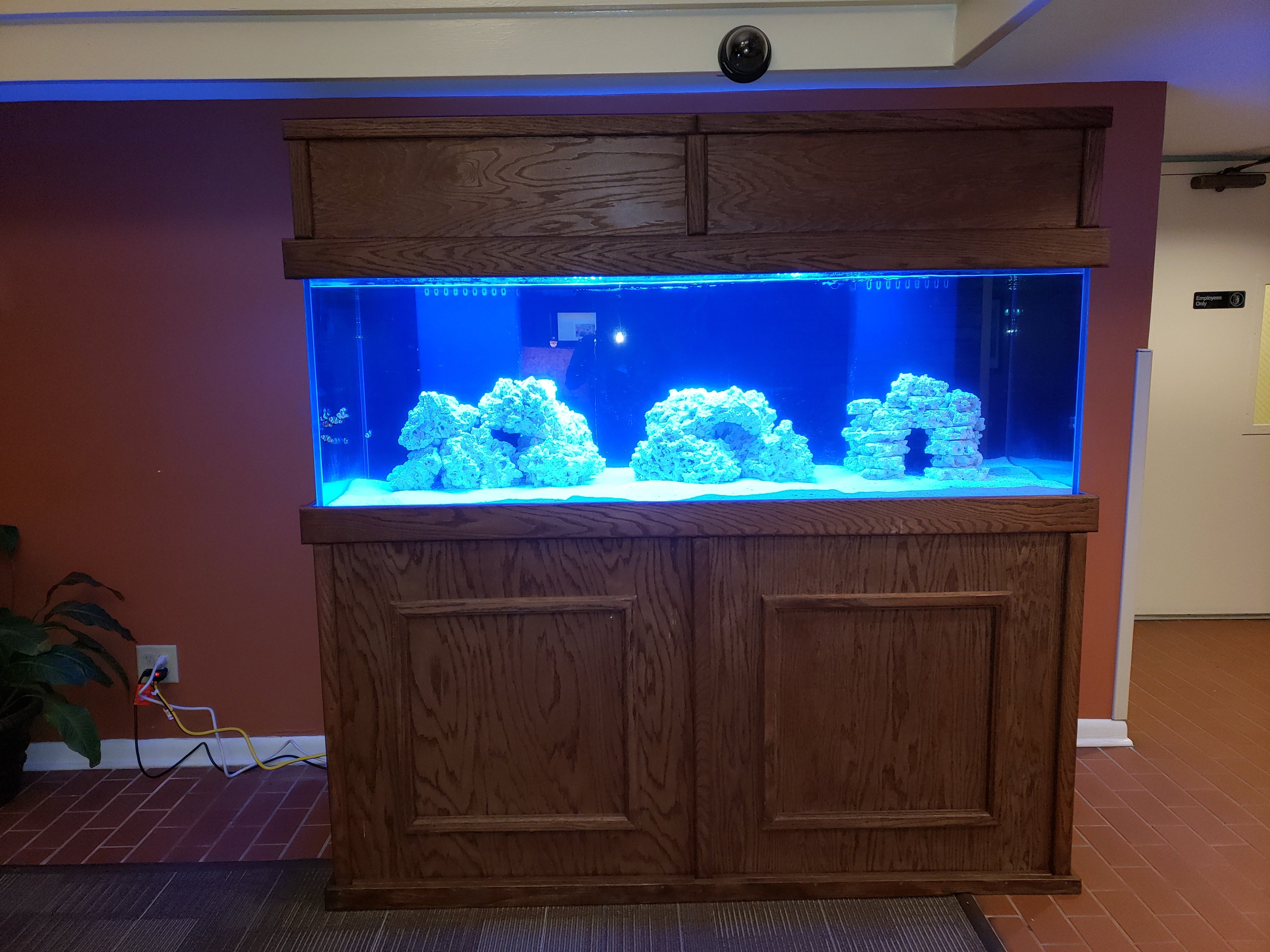 Completed Aquarium